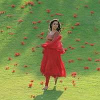 Nisha Agarwal - Saradaga Ammayitho Movie Song Photos | Picture 503545