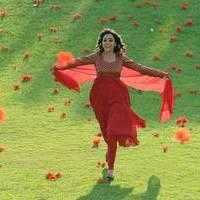 Nisha Agarwal - Saradaga Ammayitho Movie Song Photos | Picture 503554