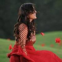 Nisha Agarwal - Saradaga Ammayitho Movie Song Photos | Picture 503555