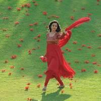 Nisha Agarwal - Saradaga Ammayitho Movie Song Photos | Picture 503557