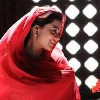 Nisha Agarwal - Saradaga Ammayitho Movie Song Photos | Picture 503558
