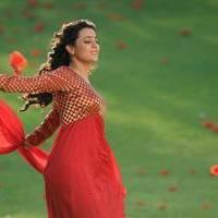 Nisha Agarwal - Saradaga Ammayitho Movie Song Photos | Picture 503559