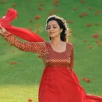 Nisha Agarwal - Saradaga Ammayitho Movie Song Photos | Picture 503560