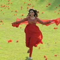 Nisha Agarwal - Saradaga Ammayitho Movie Song Photos | Picture 503570