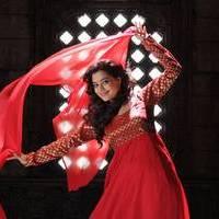 Nisha Agarwal - Saradaga Ammayitho Movie Song Photos | Picture 503571