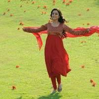 Nisha Agarwal - Saradaga Ammayitho Movie Song Photos | Picture 503572