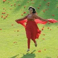 Nisha Agarwal - Saradaga Ammayitho Movie Song Photos | Picture 503576