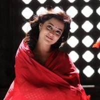 Nisha Agarwal - Saradaga Ammayitho Movie Song Photos | Picture 503578