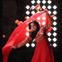 Nisha Agarwal - Saradaga Ammayitho Movie Song Photos | Picture 503583