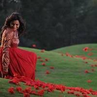 Nisha Agarwal - Saradaga Ammayitho Movie Song Photos | Picture 503588