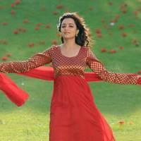 Nisha Agarwal - Saradaga Ammayitho Movie Song Photos | Picture 503589