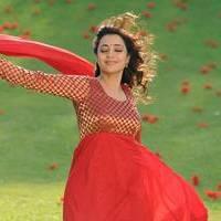 Nisha Agarwal - Saradaga Ammayitho Movie Song Photos | Picture 503591