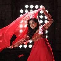 Nisha Agarwal - Saradaga Ammayitho Movie Song Photos | Picture 503594