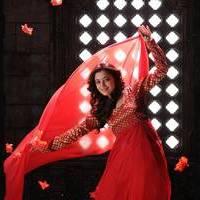 Nisha Agarwal - Saradaga Ammayitho Movie Song Photos | Picture 503597