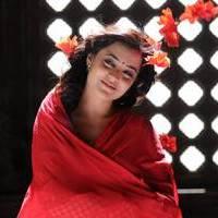 Nisha Agarwal - Saradaga Ammayitho Movie Song Photos | Picture 503602