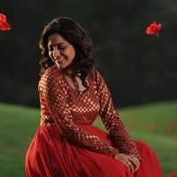Nisha Agarwal - Saradaga Ammayitho Movie Song Photos | Picture 503604