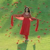 Nisha Agarwal - Saradaga Ammayitho Movie Song Photos | Picture 503614