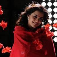 Nisha Agarwal - Saradaga Ammayitho Movie Song Photos | Picture 503615