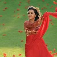 Nisha Agarwal - Saradaga Ammayitho Movie Song Photos | Picture 503616