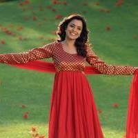 Nisha Agarwal - Saradaga Ammayitho Movie Song Photos | Picture 503617