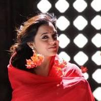 Nisha Agarwal - Saradaga Ammayitho Movie Song Photos | Picture 503619