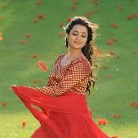 Nisha Agarwal - Saradaga Ammayitho Movie Song Photos | Picture 503620