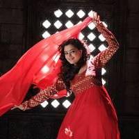 Nisha Agarwal - Saradaga Ammayitho Movie Song Photos | Picture 503621