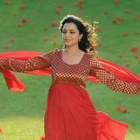 Nisha Agarwal - Saradaga Ammayitho Movie Song Photos | Picture 503624