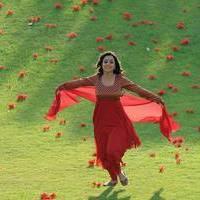 Nisha Agarwal - Saradaga Ammayitho Movie Song Photos | Picture 503627