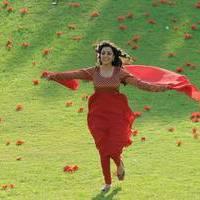 Nisha Agarwal - Saradaga Ammayitho Movie Song Photos | Picture 503632
