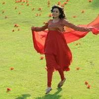 Nisha Agarwal - Saradaga Ammayitho Movie Song Photos | Picture 503633