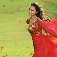 Nisha Agarwal - Saradaga Ammayitho Movie Song Photos | Picture 503636
