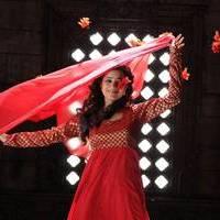 Nisha Agarwal - Saradaga Ammayitho Movie Song Photos | Picture 503642