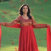 Nisha Agarwal - Saradaga Ammayitho Movie Song Photos | Picture 503645