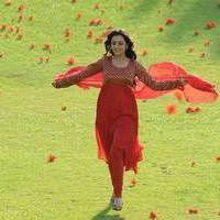 Nisha Agarwal - Saradaga Ammayitho Movie Song Photos | Picture 503648
