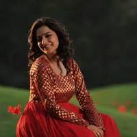 Nisha Agarwal - Saradaga Ammayitho Movie Song Photos | Picture 503651