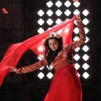 Nisha Agarwal - Saradaga Ammayitho Movie Song Photos | Picture 503667