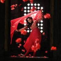Nisha Agarwal - Saradaga Ammayitho Movie Song Photos | Picture 503673