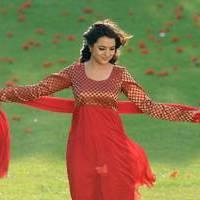 Nisha Agarwal - Saradaga Ammayitho Movie Song Photos | Picture 503678
