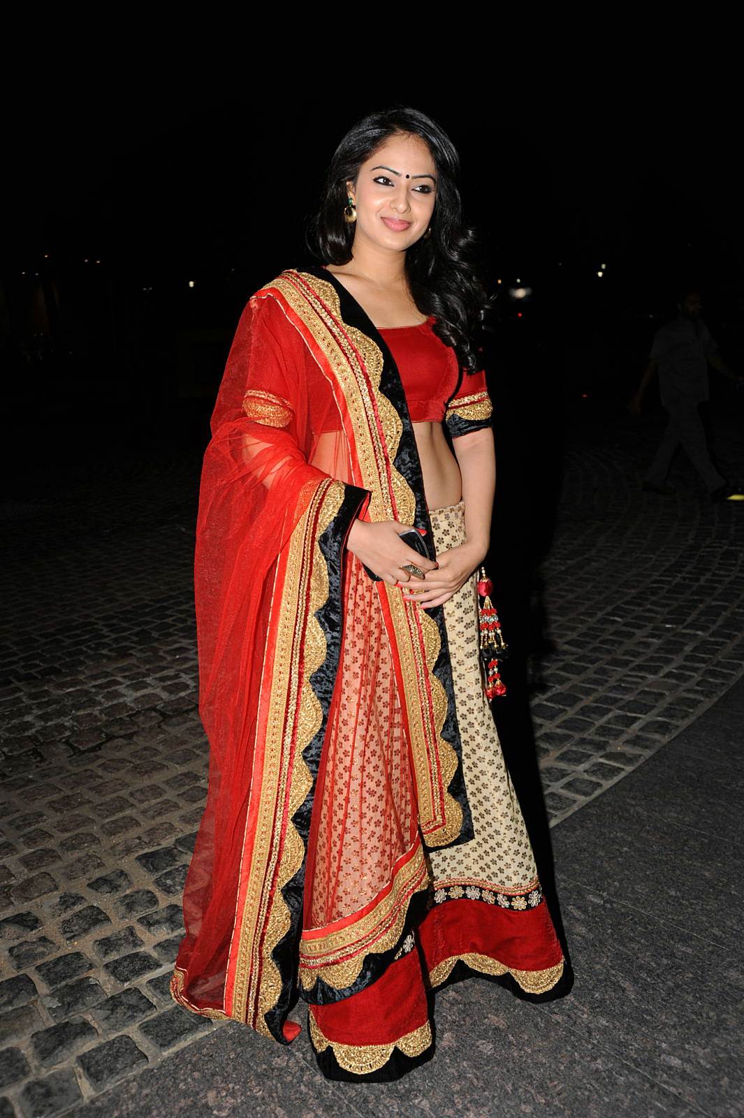 Nikesha Patel - Celebs at Film Fare Awards 2013 Photos | Picture 516077