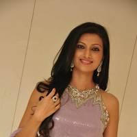 Hamsa Nandhini launched Ashadam Collection at Cmr Patny Center Photos | Picture 516953