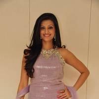 Hamsa Nandhini launched Ashadam Collection at Cmr Patny Center Photos | Picture 516983