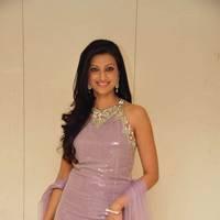 Hamsa Nandhini launched Ashadam Collection at Cmr Patny Center Photos | Picture 516991