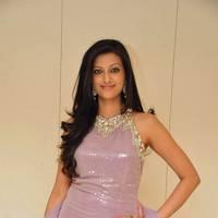 Hamsa Nandhini launched Ashadam Collection at Cmr Patny Center Photos | Picture 516995