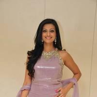 Hamsa Nandhini launched Ashadam Collection at Cmr Patny Center Photos | Picture 516999