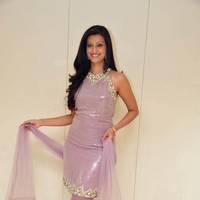 Hamsa Nandhini launched Ashadam Collection at Cmr Patny Center Photos | Picture 517009
