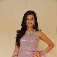 Hamsa Nandhini launched Ashadam Collection at Cmr Patny Center Photos | Picture 517013