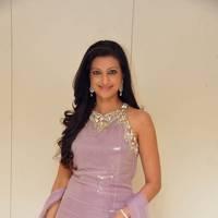Hamsa Nandhini launched Ashadam Collection at Cmr Patny Center Photos | Picture 517014