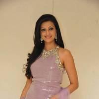 Hamsa Nandhini launched Ashadam Collection at Cmr Patny Center Photos | Picture 517018
