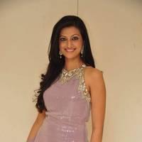 Hamsa Nandhini launched Ashadam Collection at Cmr Patny Center Photos | Picture 517035
